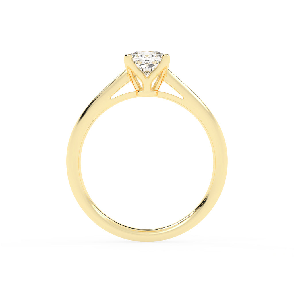 Solentria bridge accent princess cut lab diamond ring