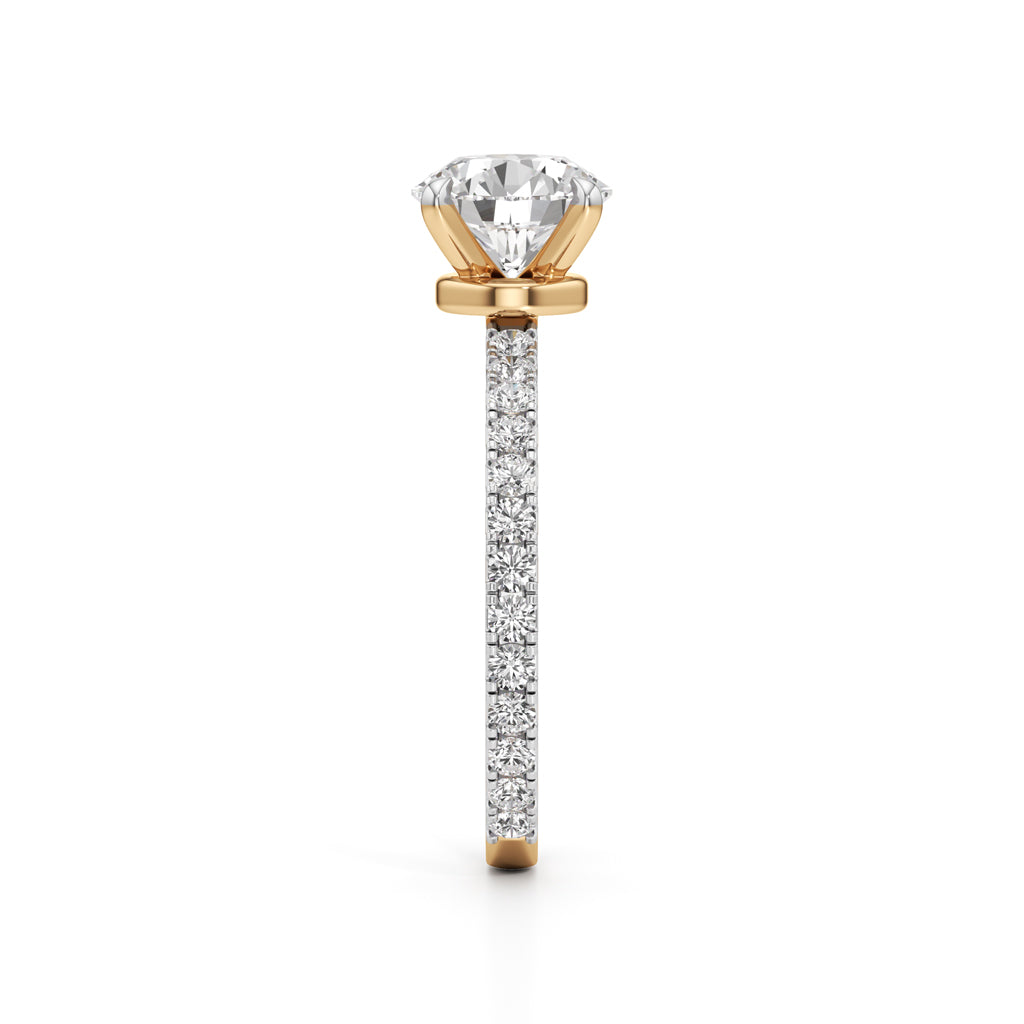 Arlette Everyday Solitaire