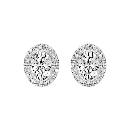 Veloura Halo Lab Diamond Stud Earrings