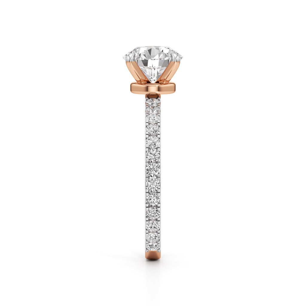 Arlette Everyday Solitaire