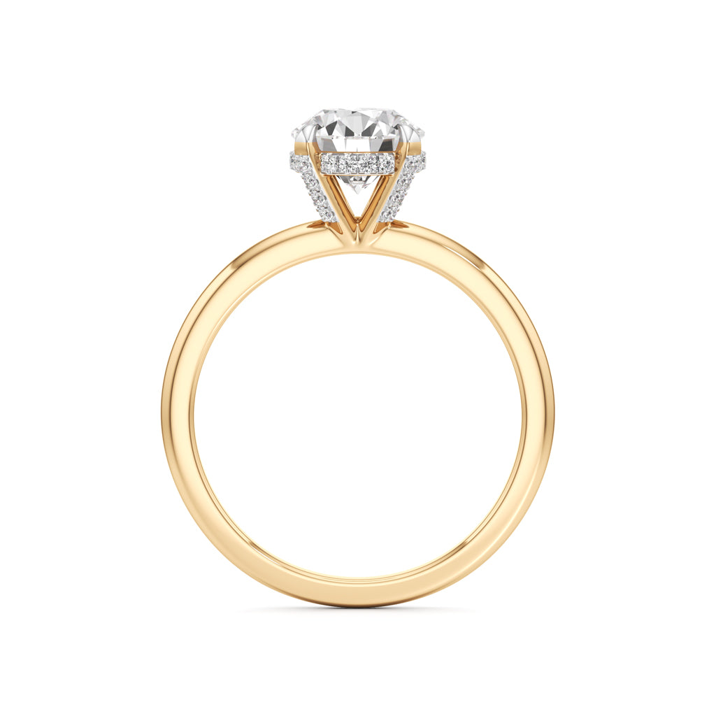 Elevated Diamond  Set Solitaire Ring